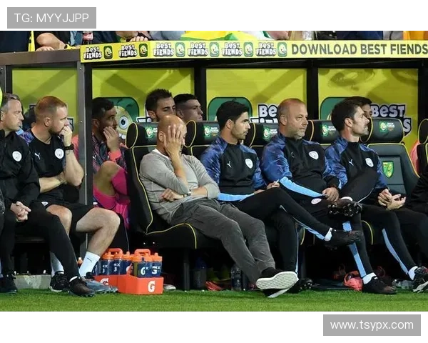 诺维奇俱乐部历史回顾与发展历程探讨：从崛起到辉煌的足球之路