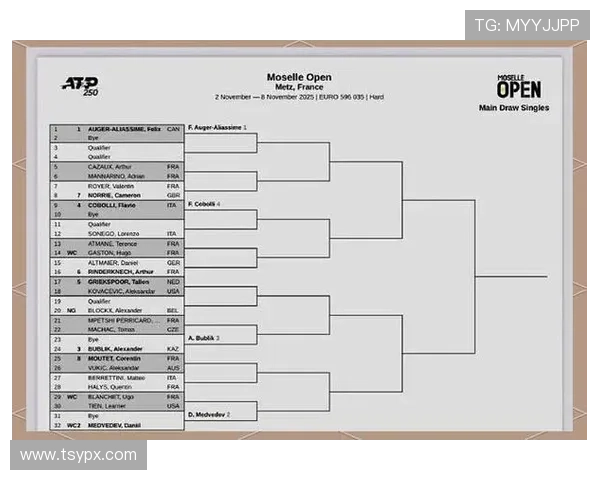 2025年网球赛季精彩回顾与未来展望，明星球员的表现与挑战