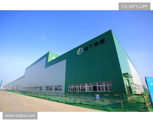 雷丁俱乐部迎来新投资布局青训改革冲击新赛季目标稳定发展前景